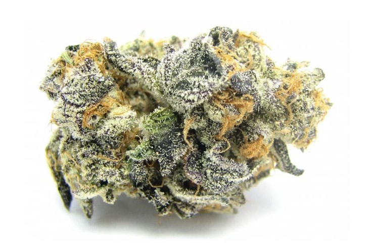 The Daily Cannabis Guide: Finding the Right Strain