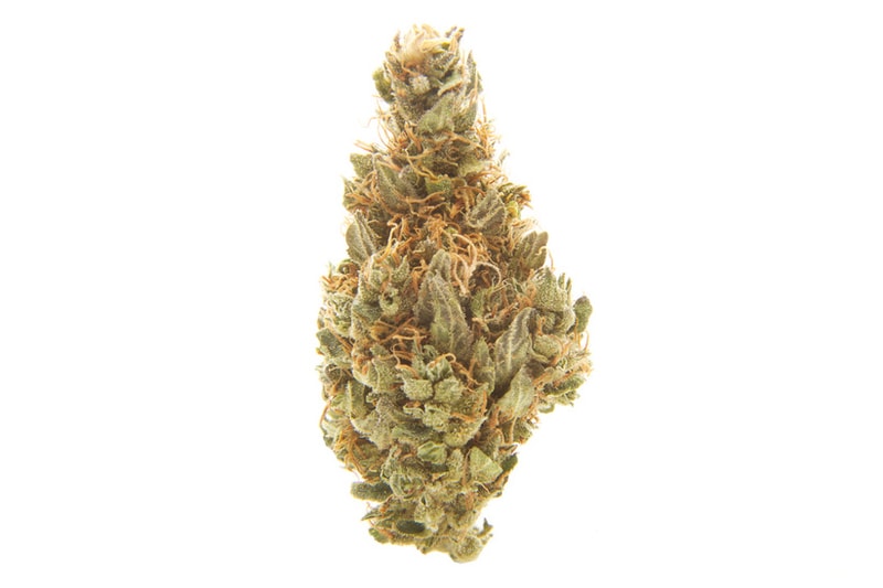 The Daily Cannabis Guide: Finding the Right Strain