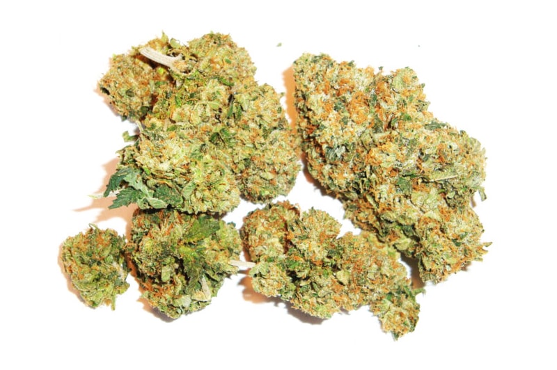 The Daily Cannabis Guide: Finding the Right Strain