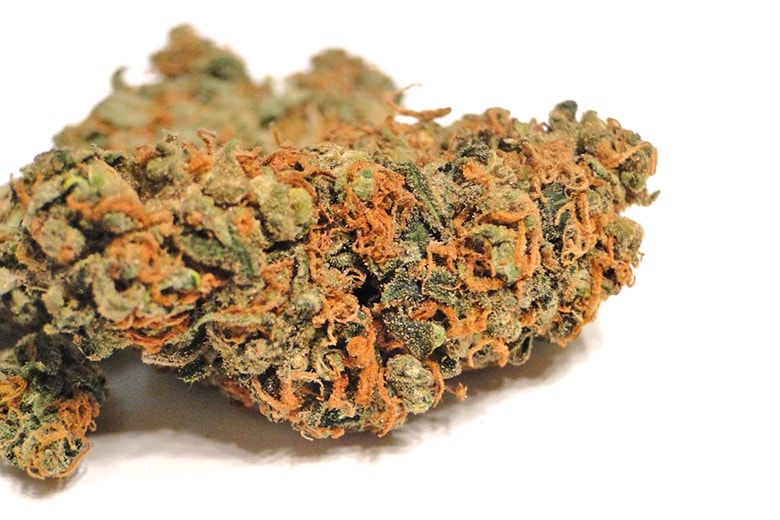 The Daily Cannabis Guide: Finding the Right Strain
