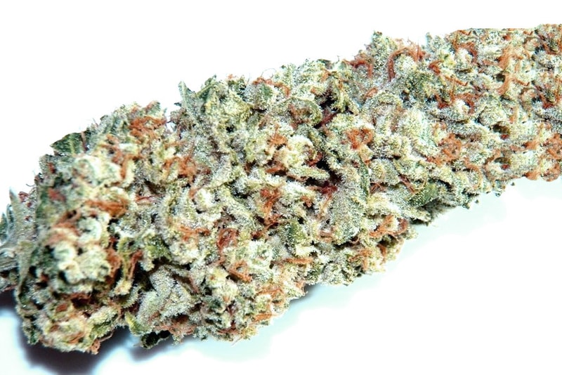 The Daily Cannabis Guide: Finding the Right Strain