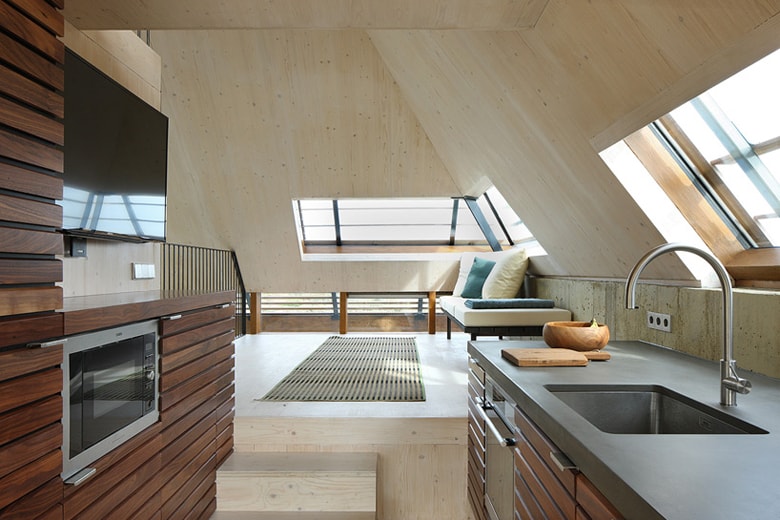 Dune House by Marc Koehler Architects