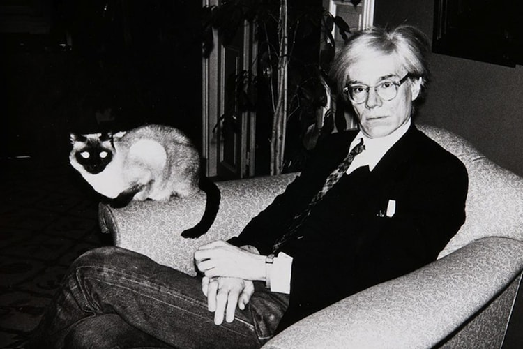 Intimate Portraits of Iconic Artists and Their Cats in New Book