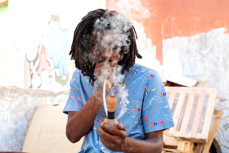 LRG 2015 Summer "Capture Land" Lookbook featuring Chronixx
