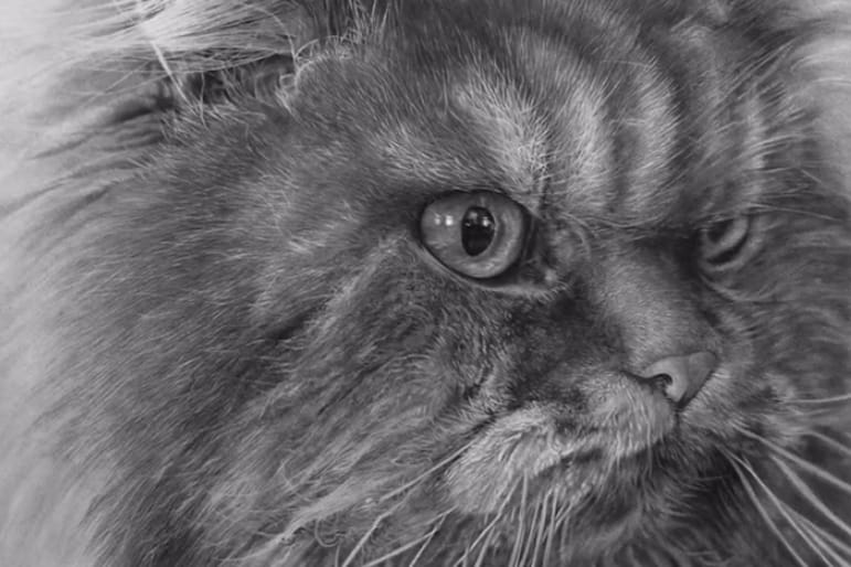 Pen & Paper: Hyper-realistic Drawings by Paul Lung