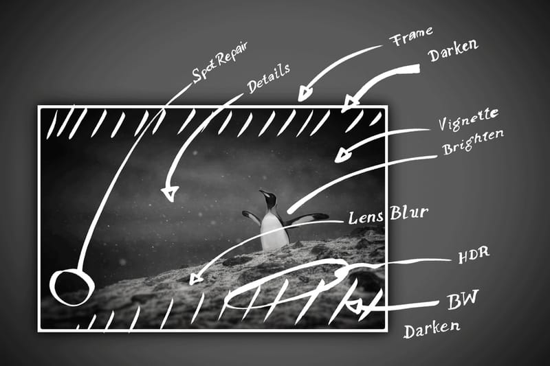 The All New Snapseed Update Brings Professional Photo Editing to Your Mobile Device