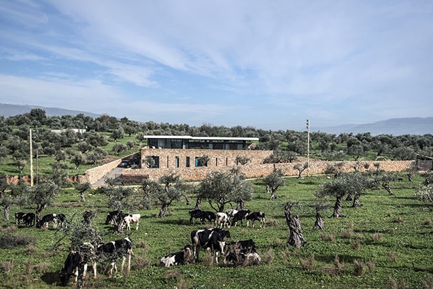 Zgharta House by platau