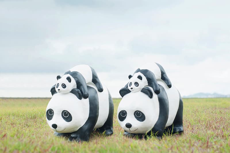 '1600 Pandas+' Makes Its Debut in South Korea