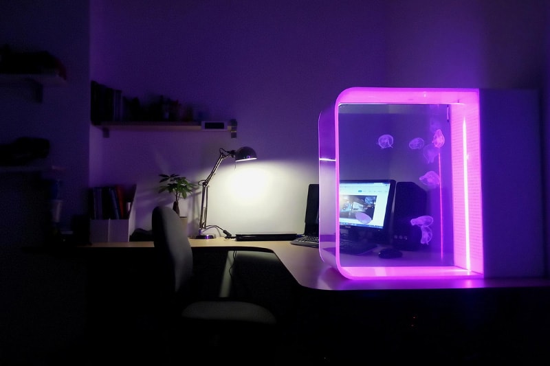 A Sleek LED-Lit Jellyfish Aquarium for Your Home