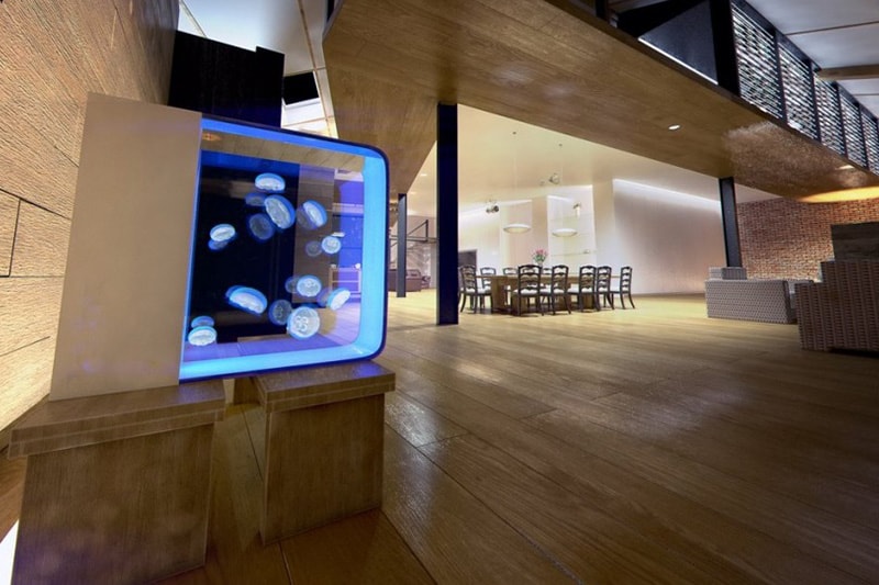 A Sleek LED-Lit Jellyfish Aquarium for Your Home