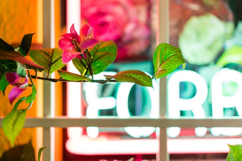 Patrick Martinez's 'Forbidden Fruit' Exhibition Recap