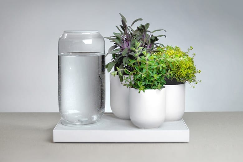 The Pikaplant Tableau Is Self-Watering so Your Plants Don't Die