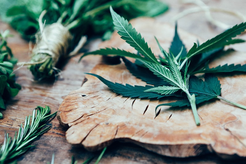 The Sophisticated Shift in Cannabis Culture: Exploring the World of the Conscious Consumer & Highbrow Products