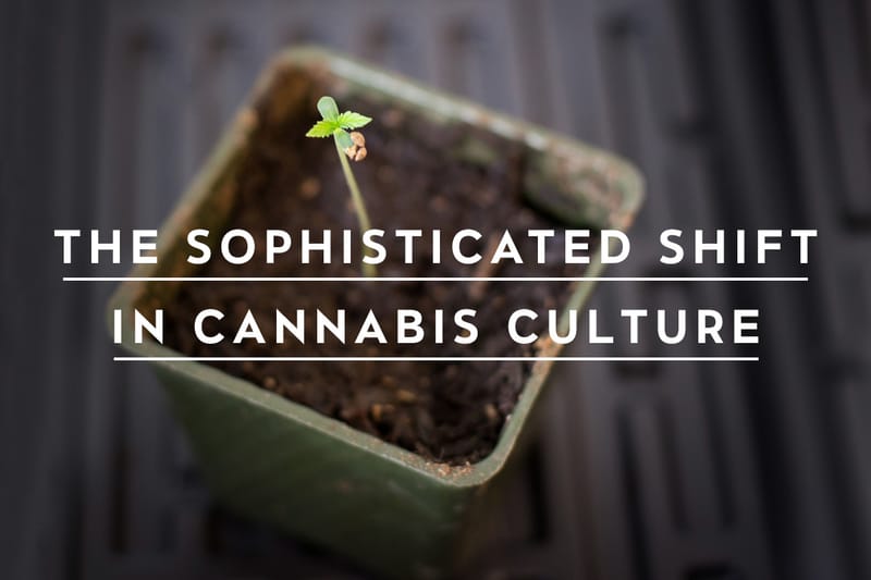 The Sophisticated Shift in Cannabis Culture: Exploring the World of the Conscious Consumer & Highbrow Products