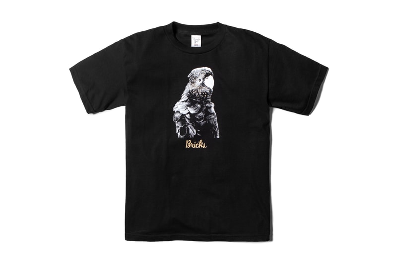 Acapulco Gold 2015 Spring/Summer Collection
