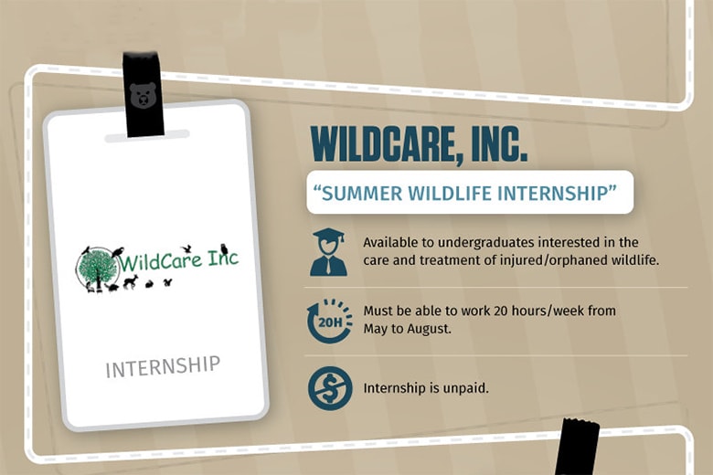 Comparing the Top Internships With Nike, Google, Facebook, Instagram, Disney, NASA, MSNBC, Nordstrom and More