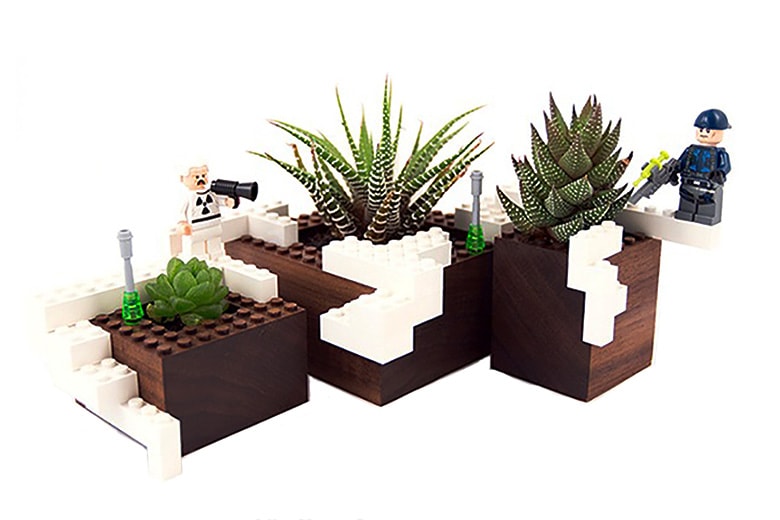 NOTCOT Limited Edition Plant Experiment #1