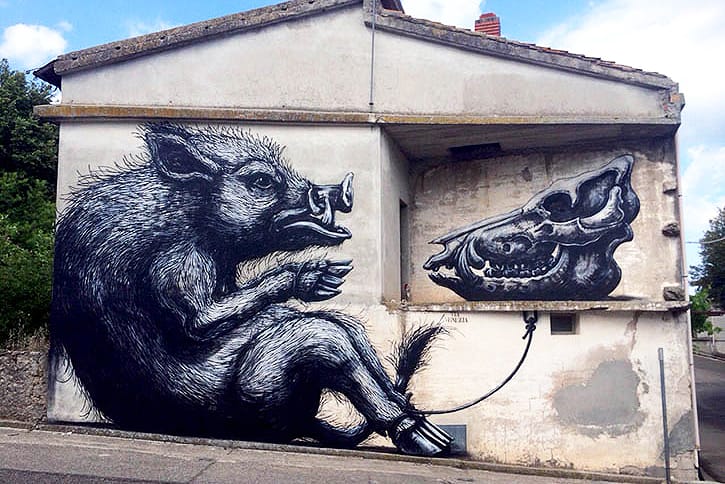 ROA Street Art Mural in Sardinia