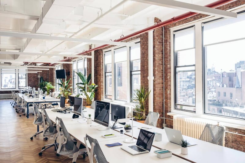 Take a Tour of Shaving Company Harry's Bright New Office