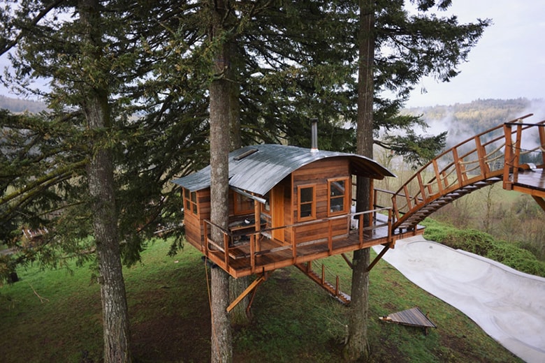 This Self-Built Treehouse Has a Skate Bowl and Hot Tub Underneath