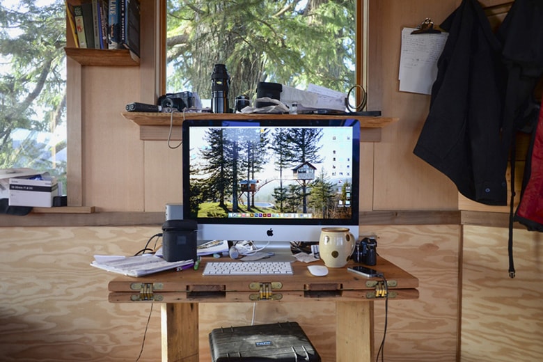This Self-Built Treehouse Has a Skate Bowl and Hot Tub Underneath