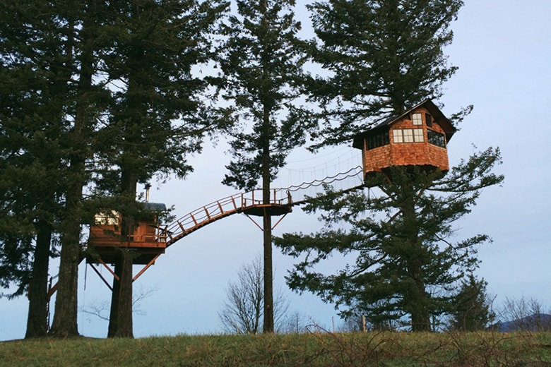 This Self-Built Treehouse Has a Skate Bowl and Hot Tub Underneath