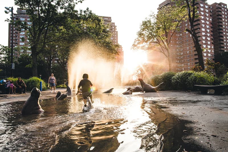 THROUGH THE LENS: Ryan Parrilla (@novess)