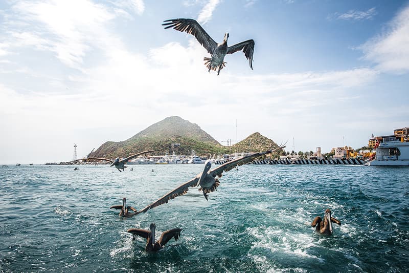 THROUGH THE LENS: Ryan Parrilla (@novess)