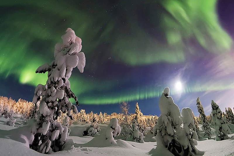 Winners of the 2015 Earth & Sky Photo Contest Showcase the Beauty of Night