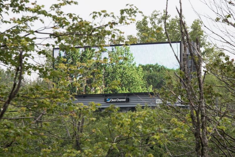 Artist Rents Roadside Billboards to Display Pictures of Nature