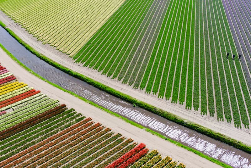 Check out the Winners of the 2015 Drone Aerial Photography Contest