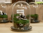 Process: Preserving "Jordans" and Moss With QUEST Terrarium