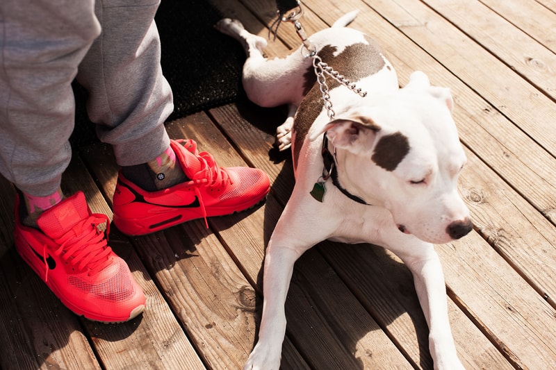 Stance 2015 Summer ANTHEM Collection