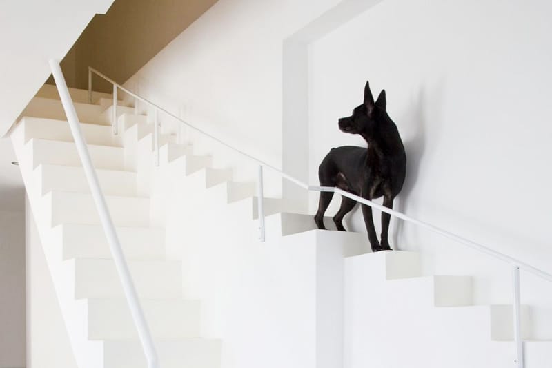 This Vietnamese Home Incorporates a Dog-Friendly Staircase