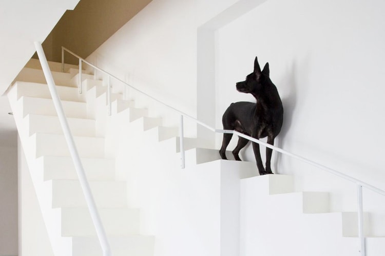 This Vietnamese Home Incorporates a Dog-Friendly Staircase