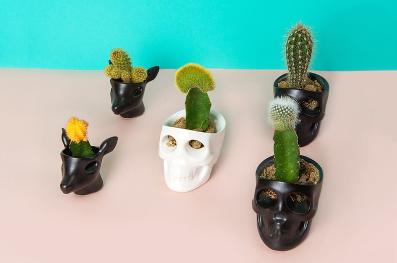 Crying Candles The Jacks Korea Kickstarter