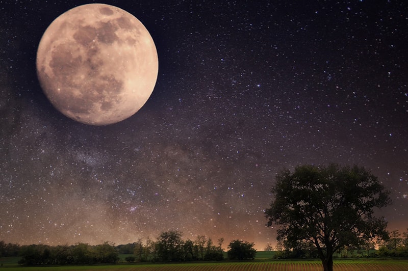 Elysium Space Plans Moon, Shooting Star and Milky Way Burial