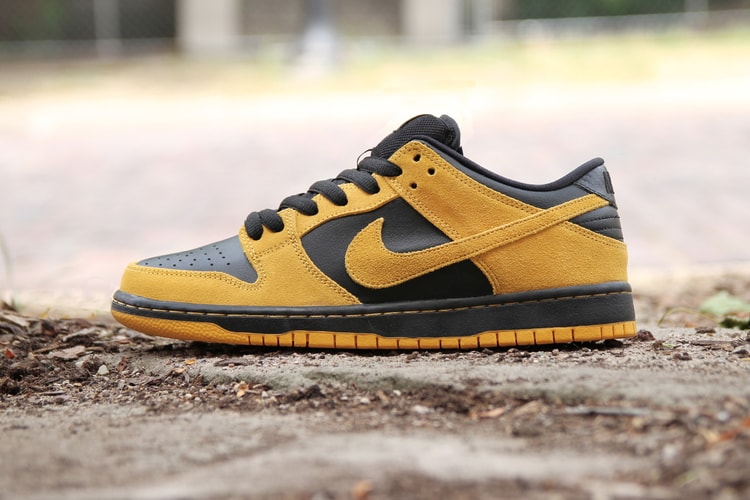Nike SB Dunk Low Pro "Iowa"