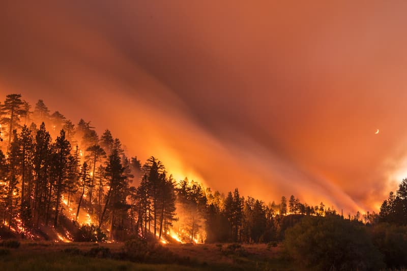 Photographer Captures Beautiful Photographs of the Ravaging Californian Wildfires