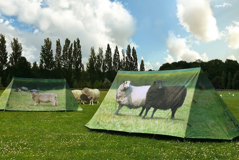 these tongue in cheek tent designs are sure to make you stand out