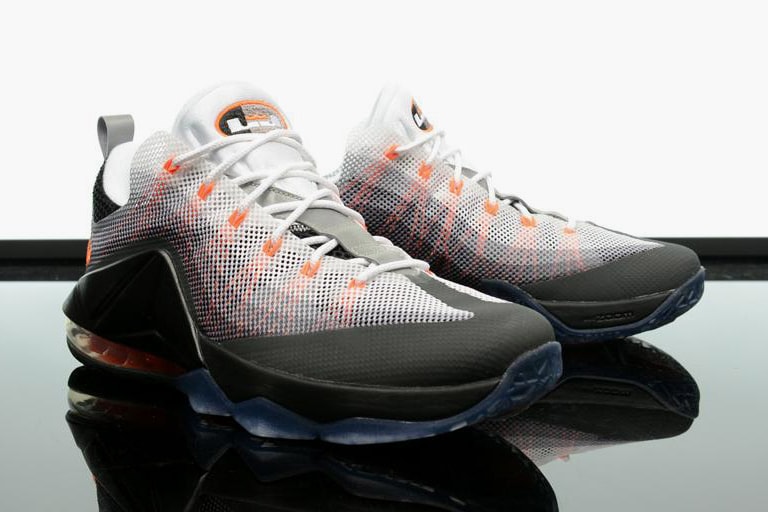 Nike LeBron 12 Air Max 95