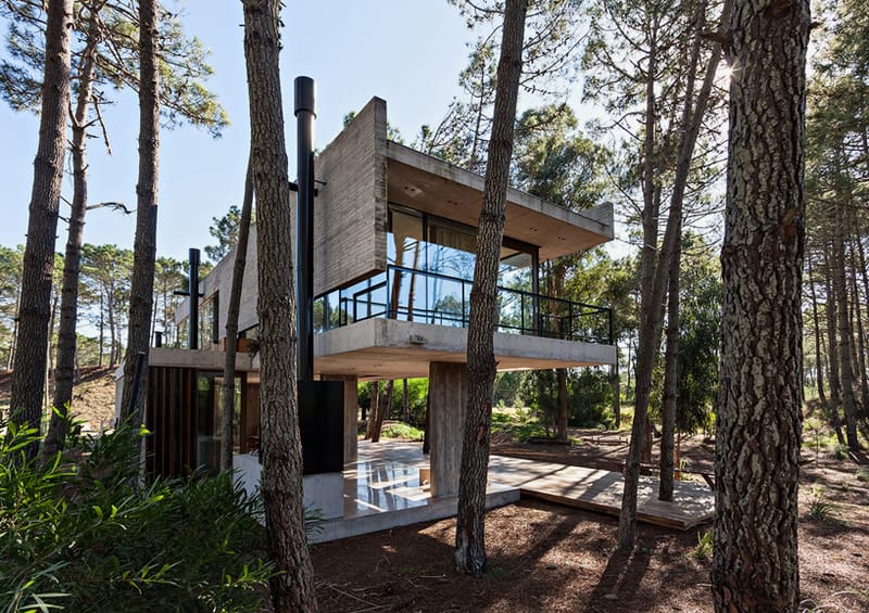 The ATV Arquitectos Marino Home Includes the Smell of a Pine Tree Forest