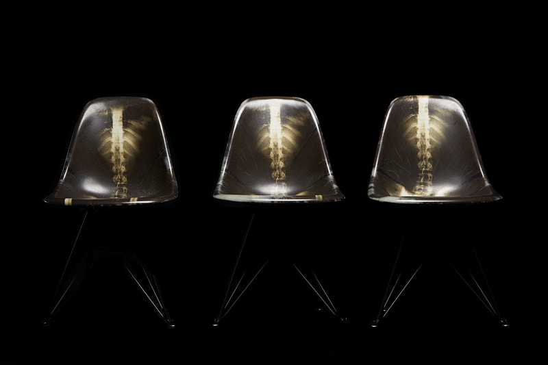 Dr. Woo x Modernica Fiberglass Side Chair