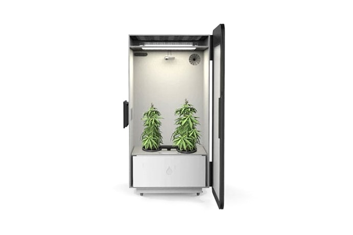 Leaf Cannabis Home Growing System Marijuana