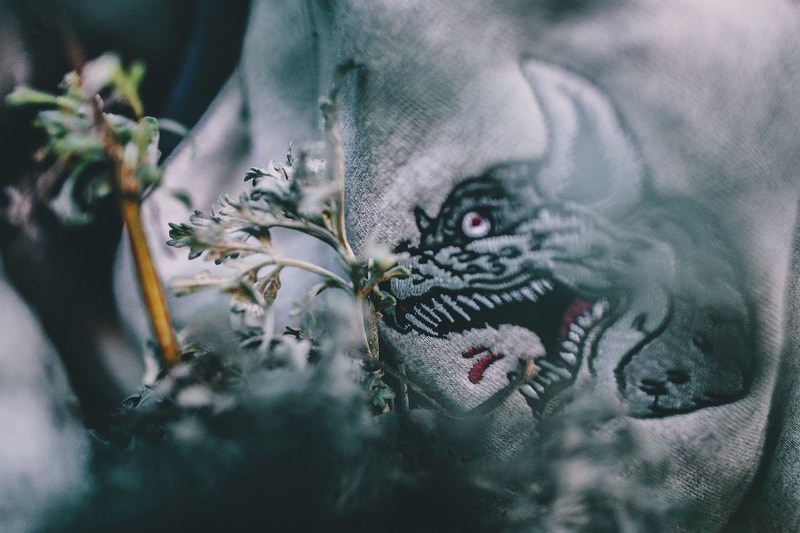 Raised By Wolves 2015 Fall/Winter Lookbook