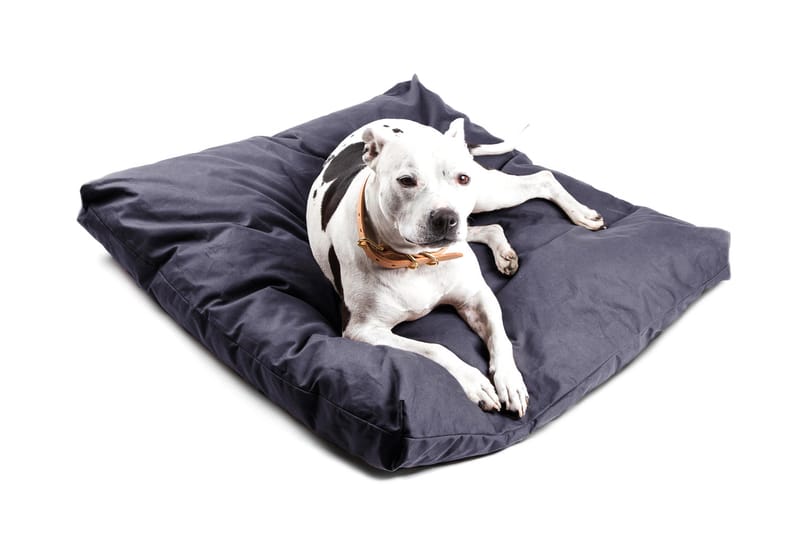 Tanner Goods Canine Collection