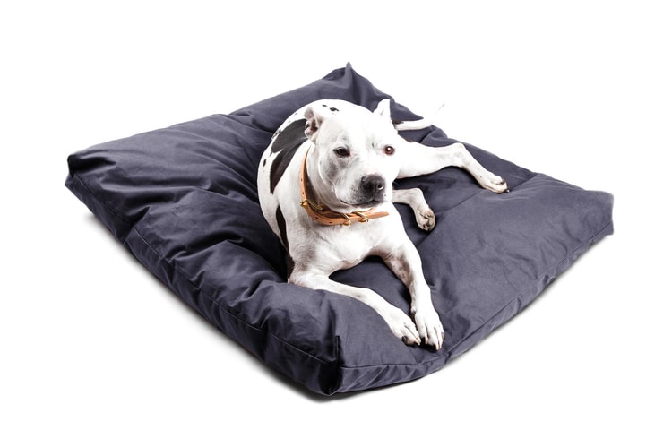 Tanner Goods Canine Collection