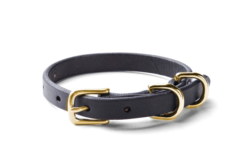 Tanner Goods Canine Collection