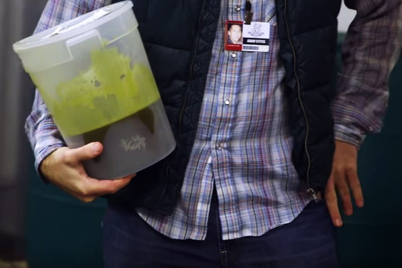 The Science Behind Weed-Infused Soda