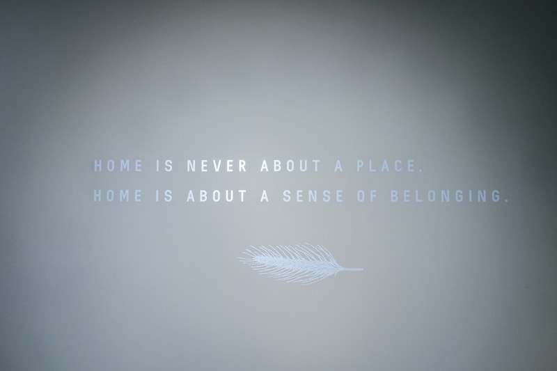 Ne.Sense One Year Art Installation Recap 